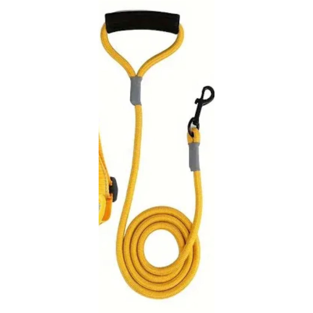 Leash Yellow