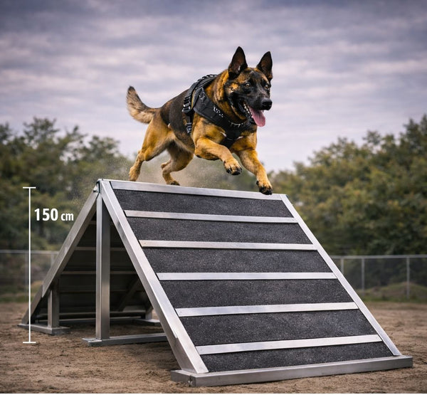 Stainless Steel A-Frame – Professional K9 Agility Climbing Obstacle