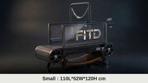Small Dog Treadmill